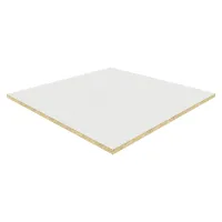 Потолочная плита Рокфон Медик Стандарт A15/24 600x600x15 купить в #REGION_NAME_PP# | Авангард